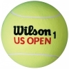 US Open Tennis Ball